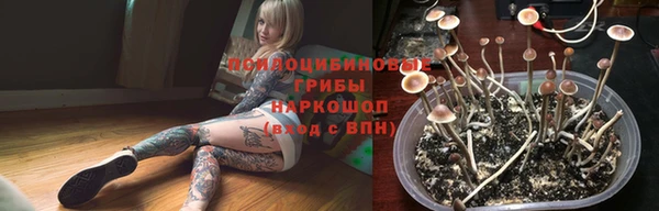 соль ск Армянск