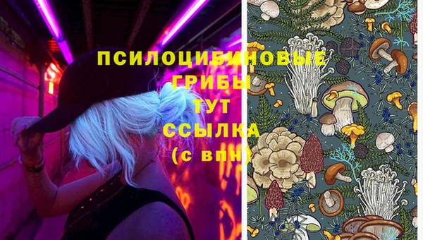 экстази Аркадак
