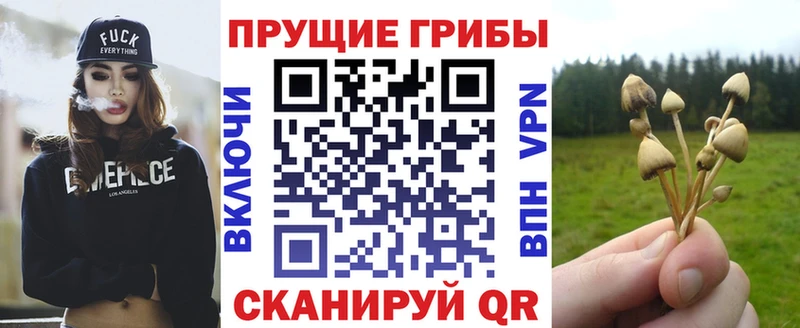 продажа наркотиков  Ипатово  Галлюциногенные грибы ЛСД 
